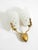 Mid-Century Modern Large Mid-Century Modern Wall Lamp in Brass and Glass, 1950s For Sale - Image 3 of 17