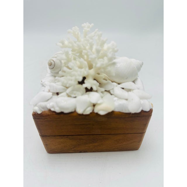 Vintage Box With Shells For Sale In Charleston - Image 6 of 9