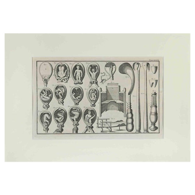 Lorenz Heister, Surgical Instruments, Etching, 1750 For Sale