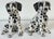 Pair of Italian Hollywood Regency Hand-Painted Pottery Dalmatian Puppies, 1970s For Sale - Image 12 of 18
