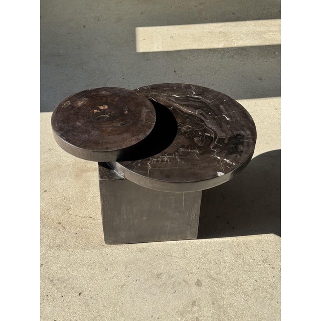 Black Coffee Table in Brown Petrified Wood with Double Circular Top on Cubic Base, Indonesia, 1980s For Sale - Image 8 of 16