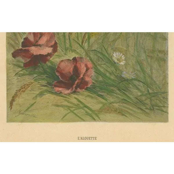 Giacomelli, Lark Among Poppies, 1891, Print For Sale - Image 3 of 7