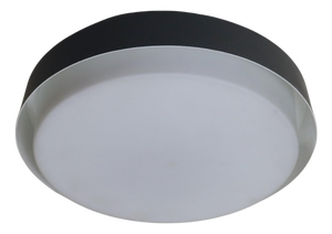 Mid-Century Opal Glass Flush Mount Lamp with Glass by Glashütte Limburg, 1960s