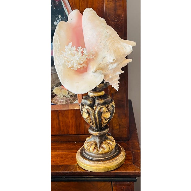 Shabby Chic 1960s Nature’s Beauty Conch Sea Shell Assemblage on Italian Gilded Wood Pricket For Sale - Image 3 of 5