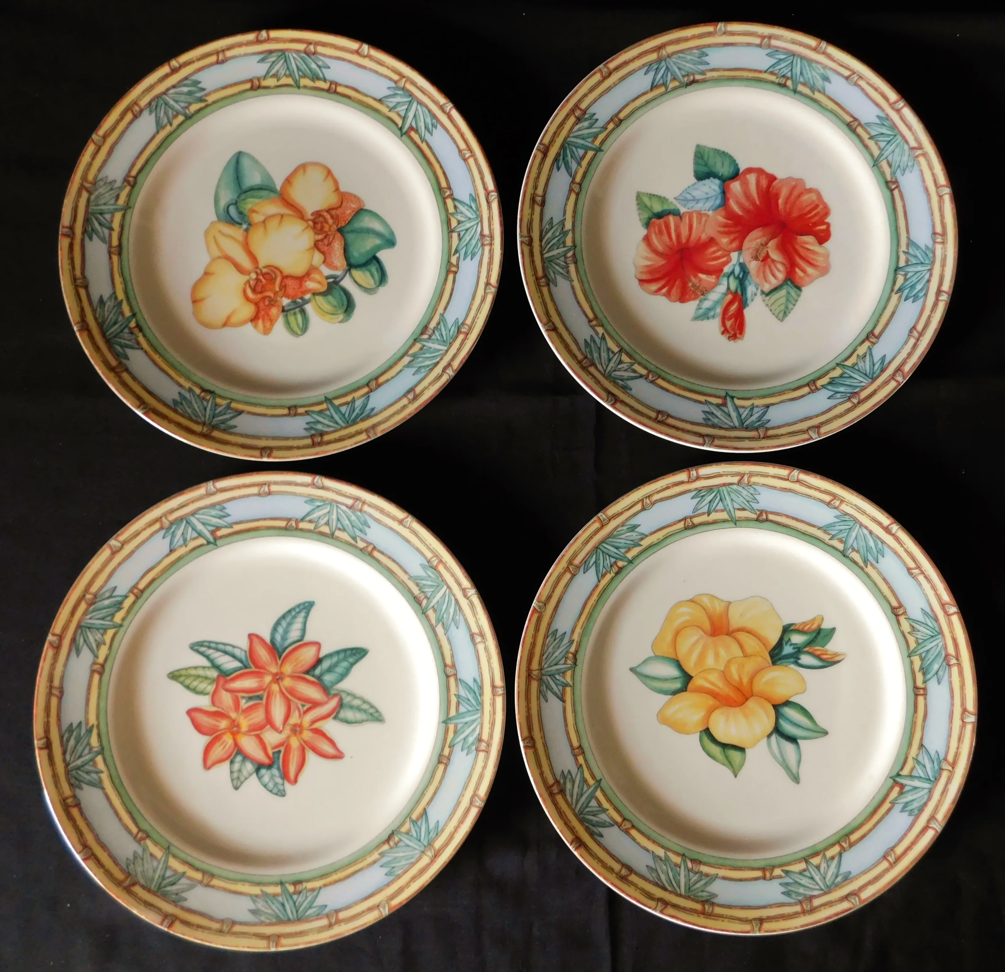 デイリーディッシュ Tradewinds by Siddhia Hutchinson Andrea by Sadek Dinner Plates