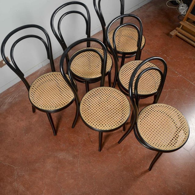 Chairs in the style of Thonet, Set of 6 For Sale - Image 5 of 9