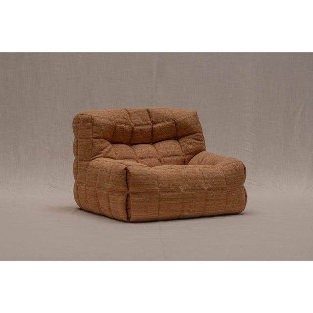 Kashima Easy Chair by Michel Ducaroy for Ligne Roset, 1970s For Sale - Image 9 of 15