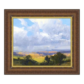 Rain on the Mesa, Bill Anton For Sale