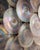 Glass Iridescent Murano Glass Wall Lamp from Mazzega, 1970s For Sale - Image 7 of 11