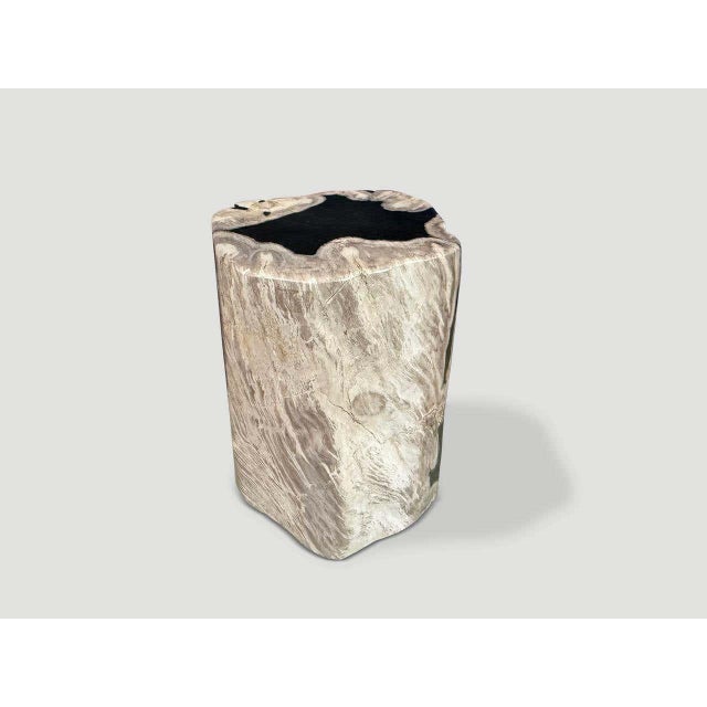 2010s Andrianna Shamaris Abstract High Quality Petrified Wood Side Table For Sale - Image 5 of 5