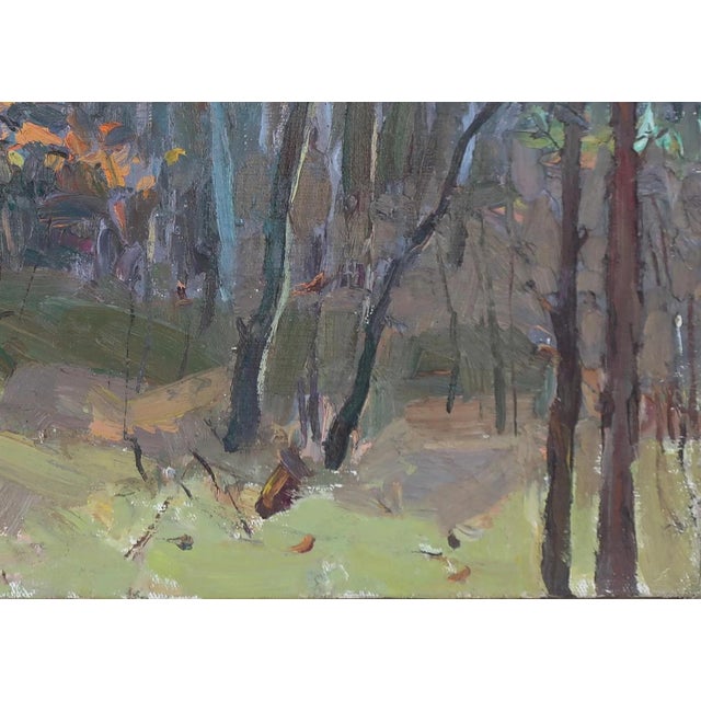 Impressionism Forest Oil Painting, Ukrainian Artist Sokolovsky, 1970s 35-50 For Sale - Image 6 of 6