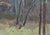 Impressionism Forest Oil Painting, Ukrainian Artist Sokolovsky, 1970s 35-50 For Sale - Image 6 of 6