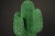 Plastic Rare 1986 Limited Edition Gufram Multipli Cactus, Signed & Numbered 1257 of 2000 For Sale - Image 7 of 16