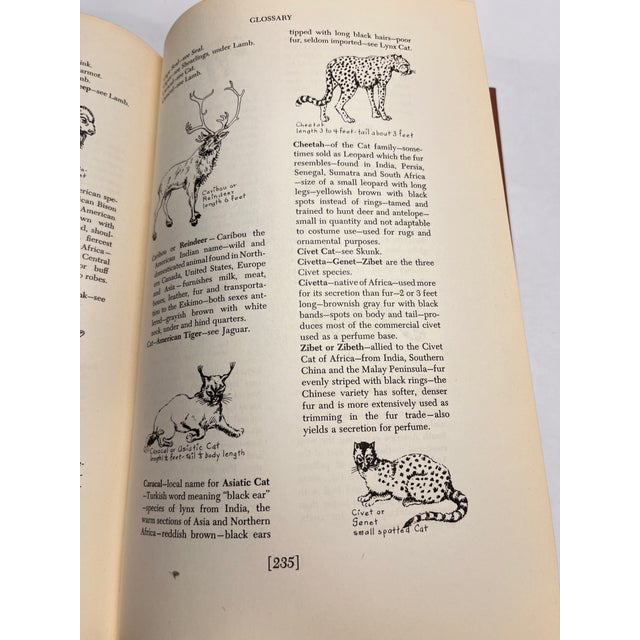 1951 the Mode in Furs Book For Sale - Image 17 of 18