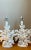Vintage Shell Encrusted Faux Coral Table Lamps - Pair For Sale In West Palm - Image 6 of 12