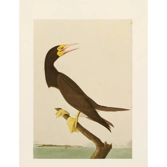 A stunning vintage American Classical, Traditional, Cottage or Nautical Style reproduction of the original lithographic...