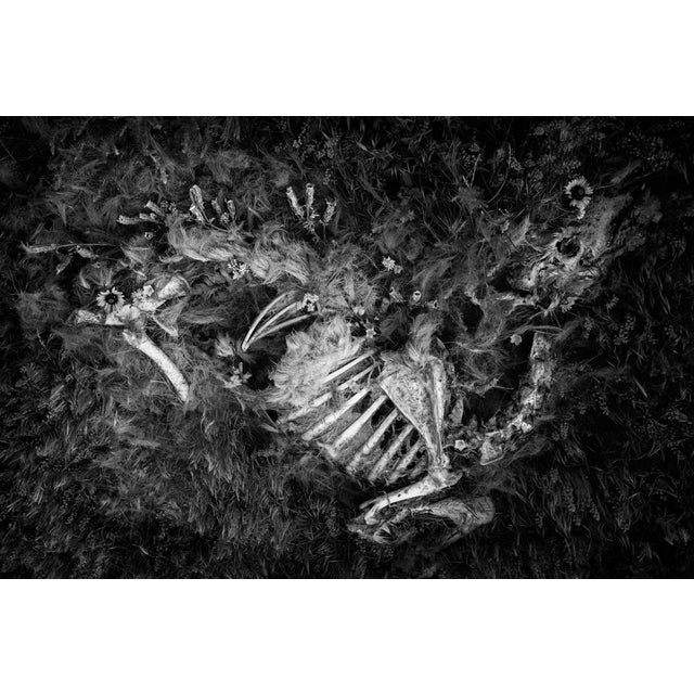 This giclée print presents a haunting composition featuring a skeletal form intertwined with delicate flora, creating a...
