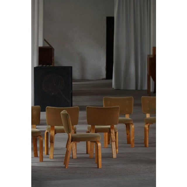 Dining Chairs by Alvar Aalto for O.Y., 1950s, Set of 7 For Sale - Image 6 of 18