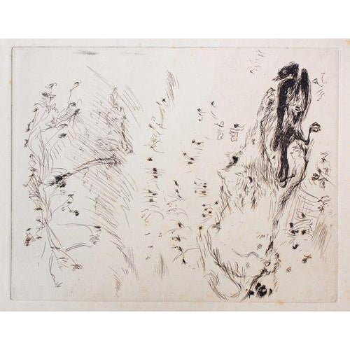 Pierre Bonnard, The Meadow, Etching, 1930s For Sale