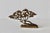 Bijan Style Brass Bonsai Tree Tabletop Sculpture Vintage Mid-Century For Sale - Image 9 of 17