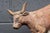 Late 19th Century Butchers Rack Crest by Brecht For Sale In Chicago - Image 6 of 17