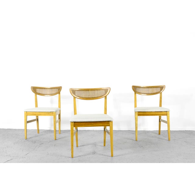 Mid-Century Modern Vintage Teak and Cane Bergere Chairs, Set of 4 For Sale - Image 3 of 8