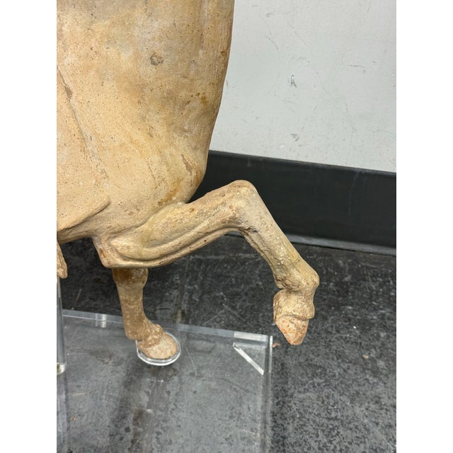 Antique Pottery Tang Dynasty Style Horse + Lucite Stand For Sale - Image 9 of 12