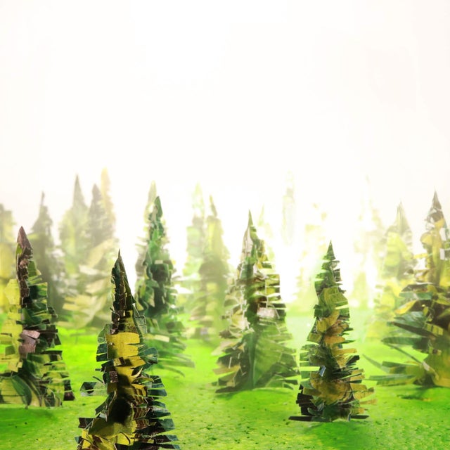 Misty Forest by Stephen Dorsett | Acrylic Mixed Media of a foggy forest scene For Sale