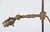 Antique Adjustable Student DeskLamp from Faraday & Son, 1900s For Sale - Image 3 of 11