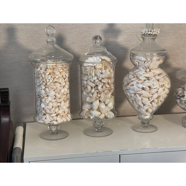 Vintage Large Glass Jars With Sea Shells For Sale - Image 4 of 12