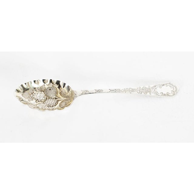 19th Century Boxed Fruit Spoons, Nutcrackers, Grape Scissors from Hukin & Heath, Set of 10 For Sale - Image 15 of 18