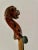 Folk Art Carved Violin Head of Opened Mouthed Lion For Sale - Image 9 of 11