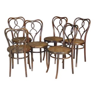 Art Nouveau New York Chairs by Michael Thonet for Gebrüder Thonet, 1925, Set of 6 For Sale