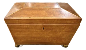English Regency Sarcophagus Shaped Tea Caddy