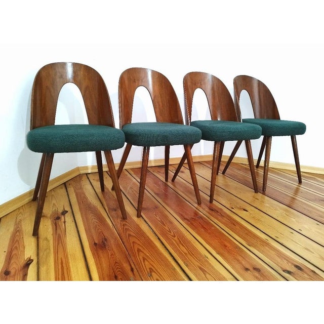 Dining Chairs by A. Suman for Tatra Nabytok, Former Czechoslovakia, 1960s, Set of 4 For Sale - Image 12 of 18