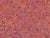 Contemporary French Knots Lumbar Pillow Sham For Sale - Image 3 of 5