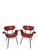 Italian Armchairs by Gastone Rinaldi for Rima, 1950s, Set of 2 For Sale - Image 14 of 16