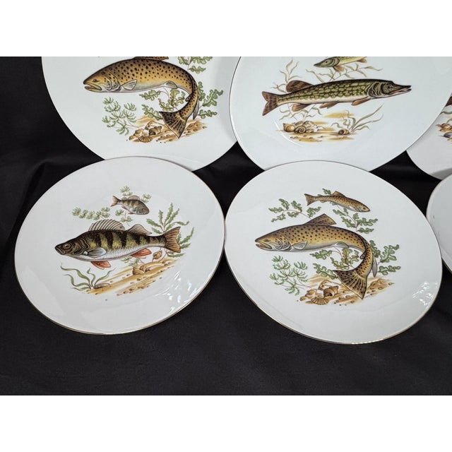 Vintage Mid-Century Modern Bareuther Waldsassen Bavaria-Germany Luncheon Fish Plates-Set of 6 For Sale - Image 4 of 6