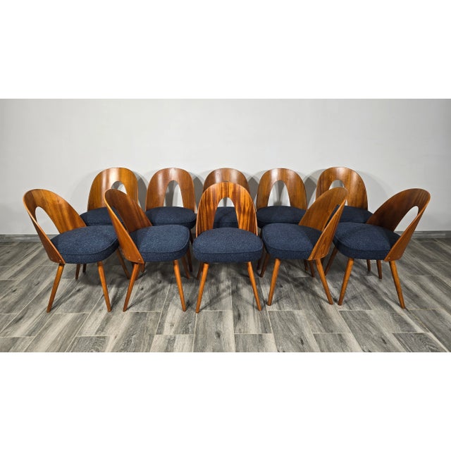 Dining Chairs by Antonin Suman, 1960s, Set of 10 For Sale - Image 6 of 10