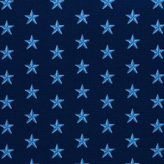 Schumacher Star Epingle Fabric in Blue For Sale