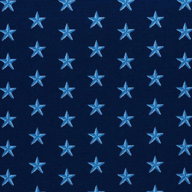 Schumacher Star Epingle Fabric in Blue For Sale