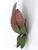 Mid-Century Double Leaf Floral Sconce by Holländer Leuchten, Germany, 1970s For Sale - Image 18 of 18