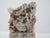 Chinese 3d Carved Fish & Bird Shoushan Stone Chop Seal Stamp For Sale - Image 11 of 15