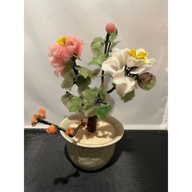 Peony Gem Bonsai Tree For Sale - Image 11 of 11