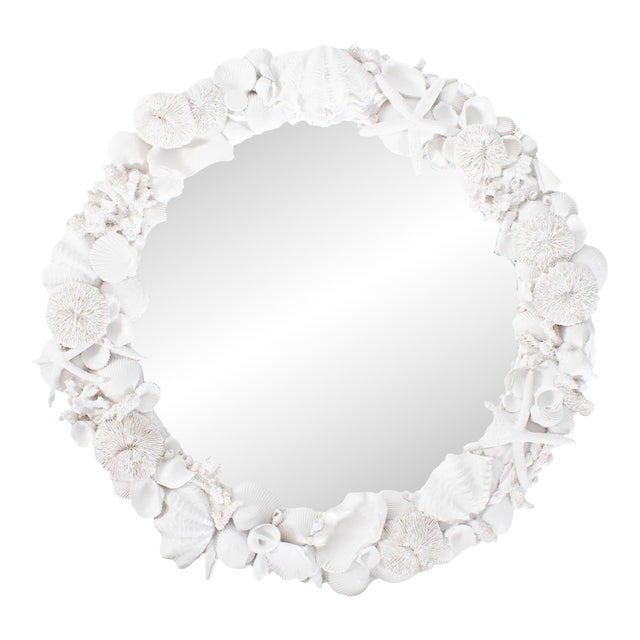 Whitewater Shell Mirror For Sale