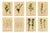 After Anton Hartinger, Alpine Foxglove & Wildflowers Small Seizded Botanical Plates, 1897, Prints, Set of 8 For Sale
