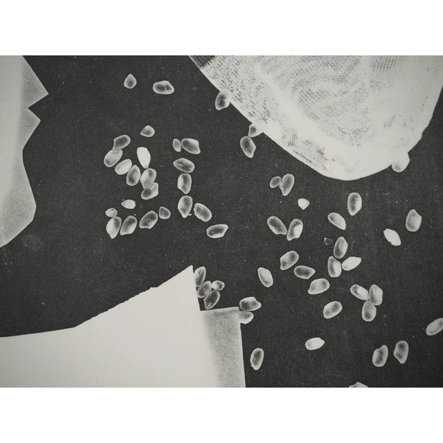 Pablo Picasso, Diurnes, The Bride as She Is, Original Collotype For Sale - Image 4 of 6