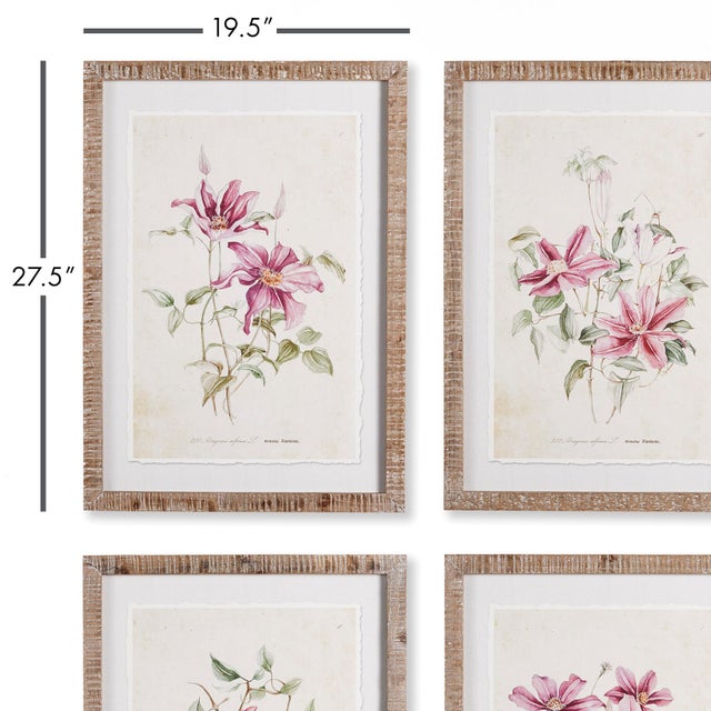 This set of four clematis prints celebrates the feminine nature of these delicate flowers. A soft, traditional look for...