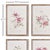 This set of four clematis prints celebrates the feminine nature of these delicate flowers. A soft, traditional look for...
