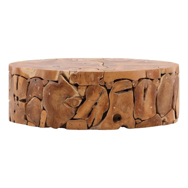 Oval Teak Fragment Coffee Table For Sale